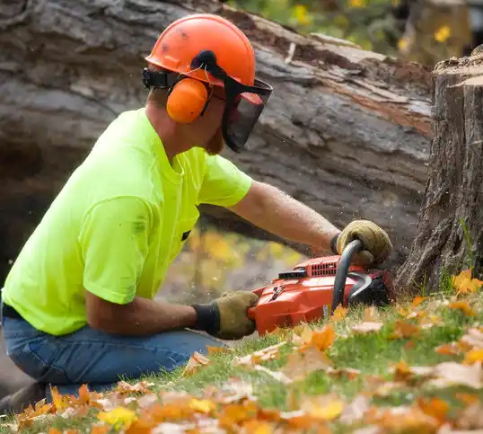 tree services Wentworth